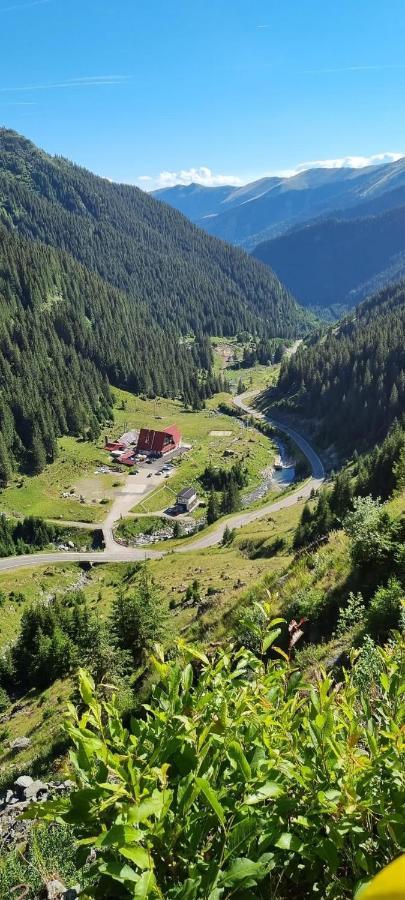 Casa Lupilor Transfagarasan Villa Capatineni-Ungureni ภายนอก รูปภาพ