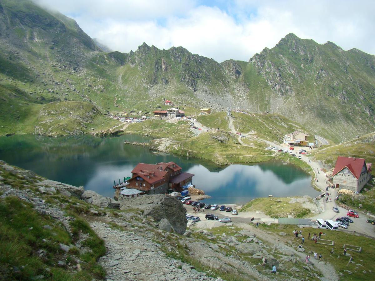 Casa Lupilor Transfagarasan Villa Capatineni-Ungureni ภายนอก รูปภาพ